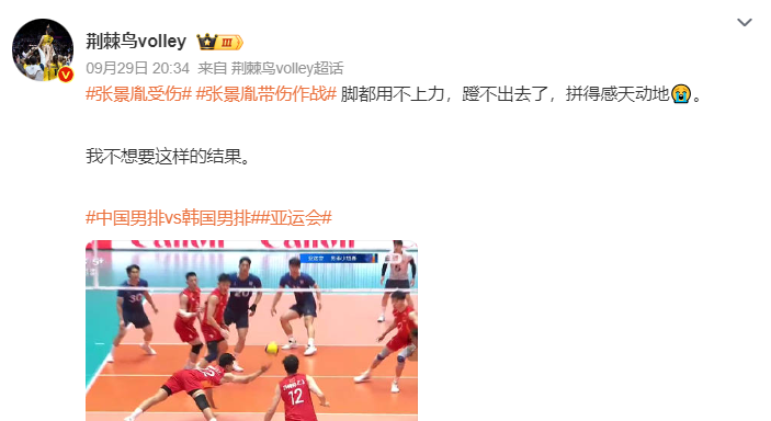 专业会员发展速度惊人服务