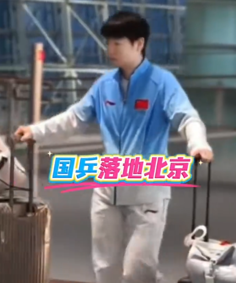 专业会员发展速度惊人服务